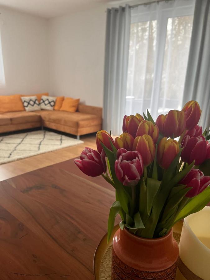 Ferienwohnung Natur Balingen Extérieur photo
